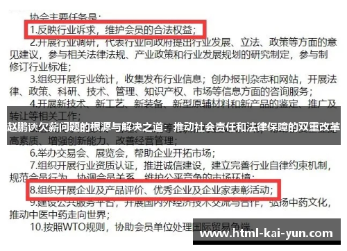 赵鹏谈欠薪问题的根源与解决之道：推动社会责任和法律保障的双重改革