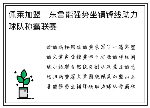 佩莱加盟山东鲁能强势坐镇锋线助力球队称霸联赛 佩莱加盟山东鲁能强势坐镇锋线助力球队称霸联赛